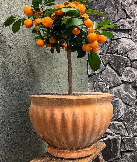 Bloempot Atheny