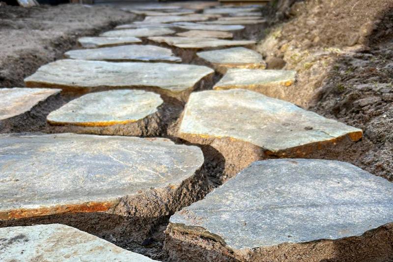 YELLOW SIKIS - Afbeelding 4