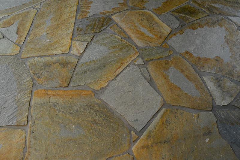 YELLOW SIKIS - grijze voeg